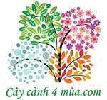 Cây hoa giả Trung Nguyên - Văn Giang