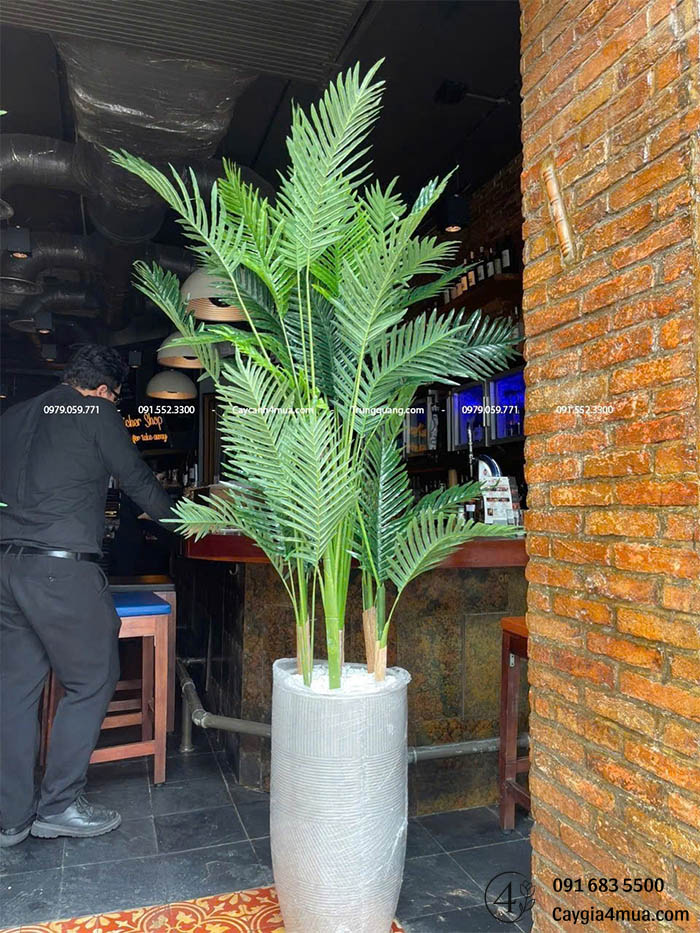 Cây Dừa Giả