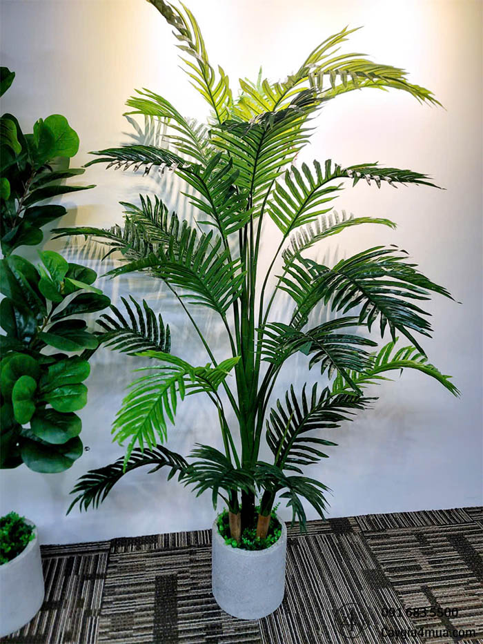 Cây Dừa Giả