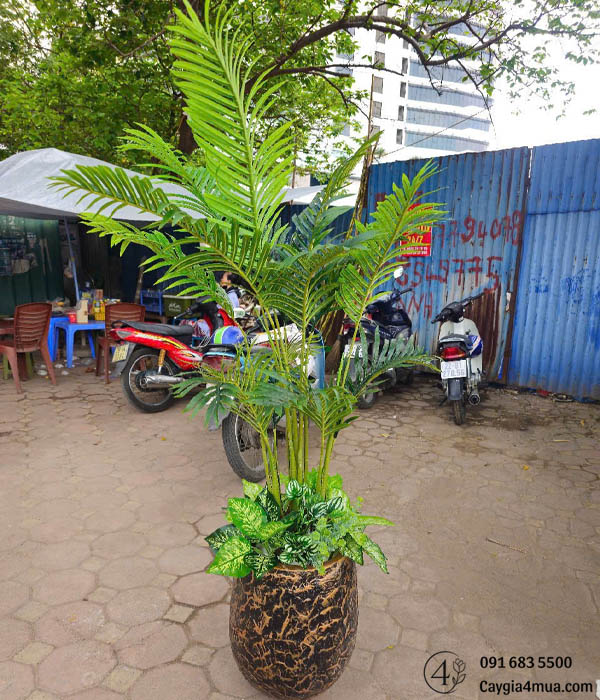 Cây Dừa Giả