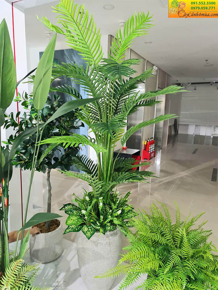 Cây Dừa Giả