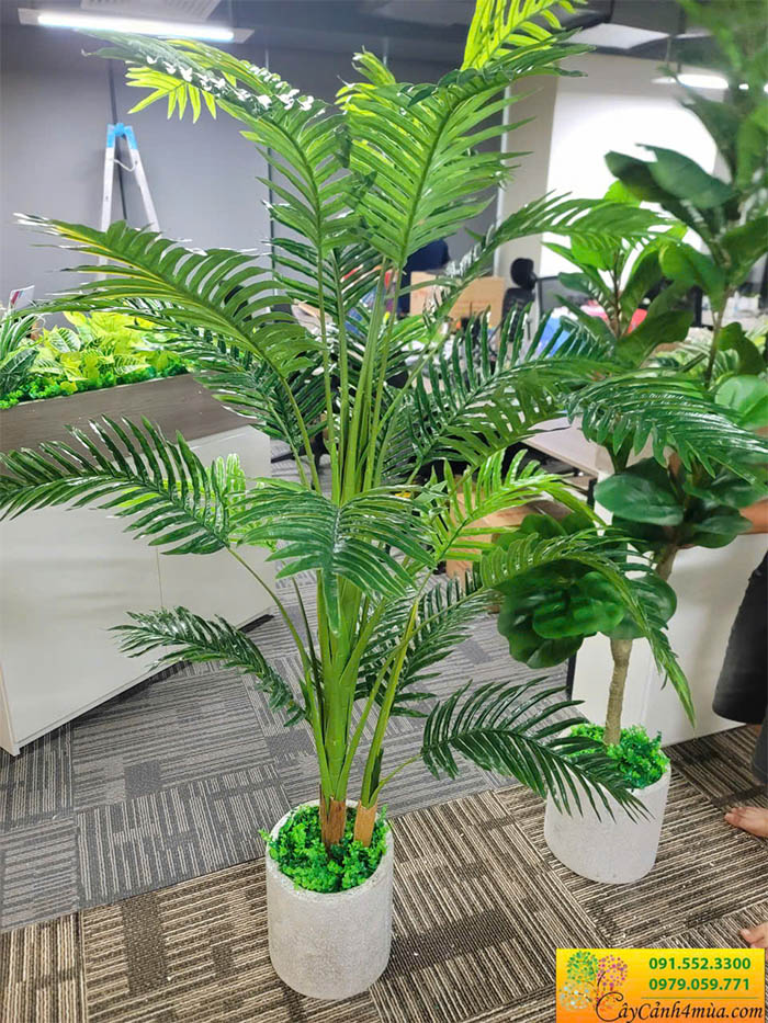 Cây Dừa Giả