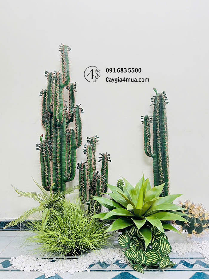 Setup Cây Xương Rồng Giả