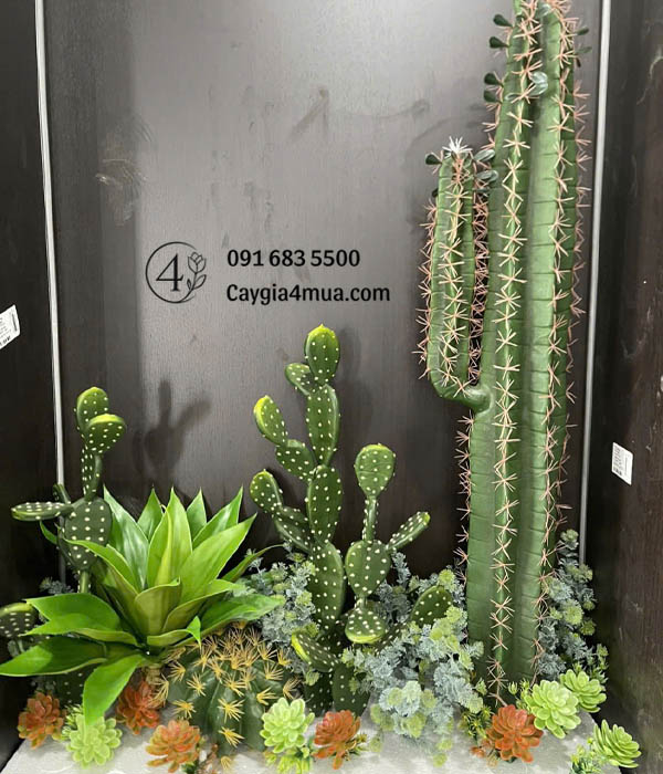 Setup Cây Xương Rồng Giả