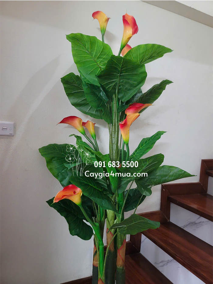Cây Hoa Rum Giả