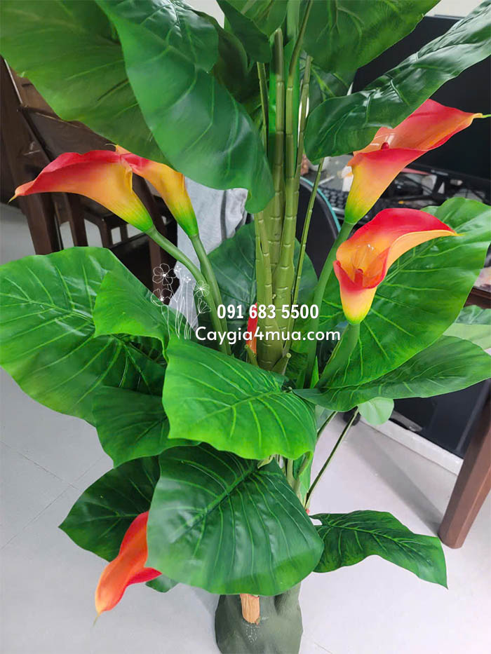 Cây Hoa Rum Giả