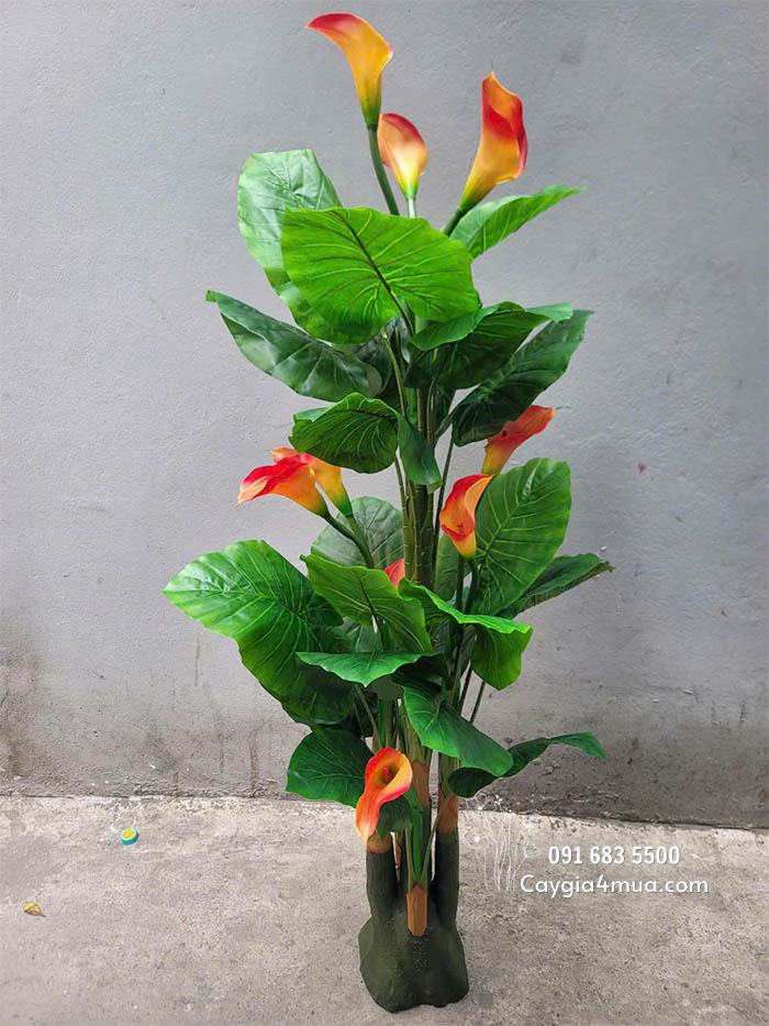 Cây Hoa Rum Giả