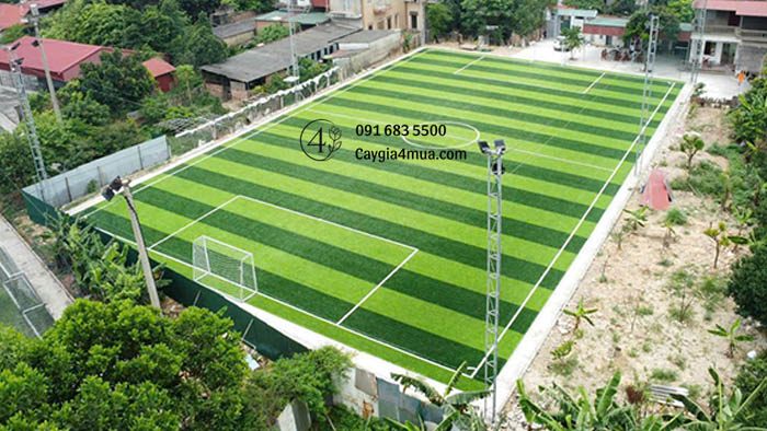 Thảm Cỏ Nhân Tạo Đẹp 