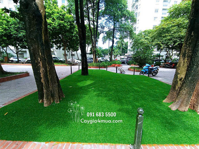 Thảm Cỏ Nhân Tạo Đẹp 