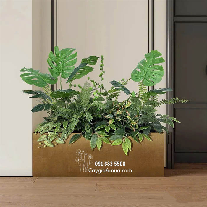 Bồn Cây Trầu Bà Mix Dương Xỉ Giả