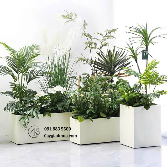 Bồn Cây Trầu Bà Mix Dương Xỉ Giả