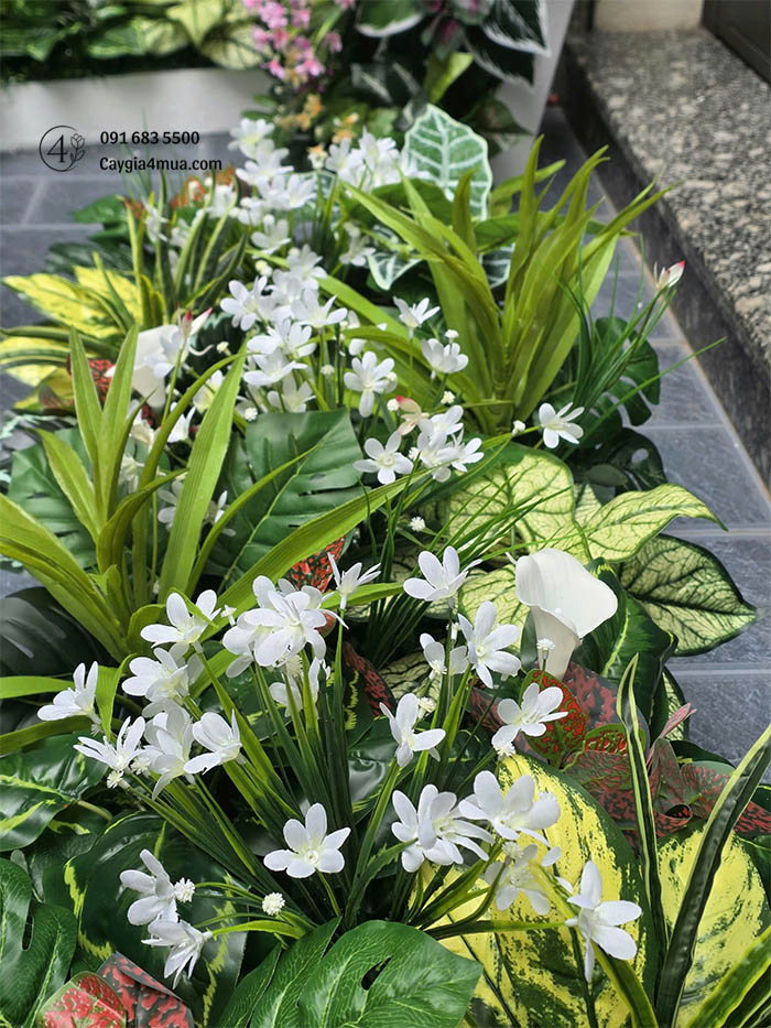 Hộc Cây Giả Văn Phòng