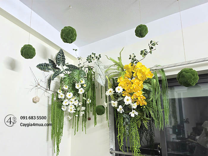 Trần Cây Rủ Giả
