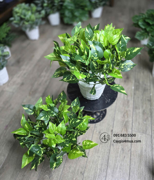 Chậu Cây Xanh Nhỏ Giả