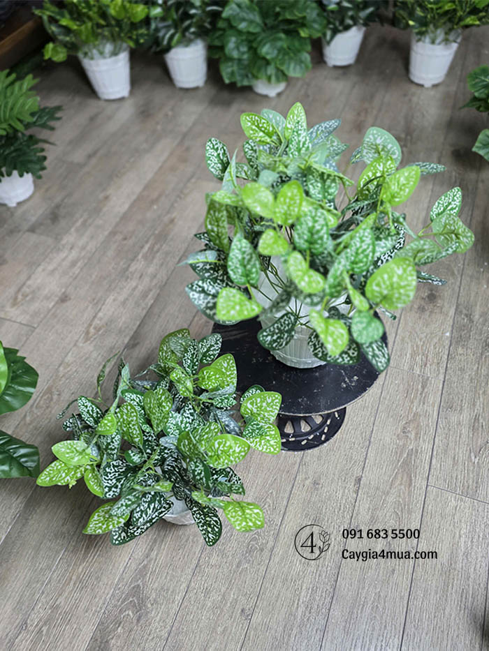 Chậu Cây Xanh Nhỏ Giả