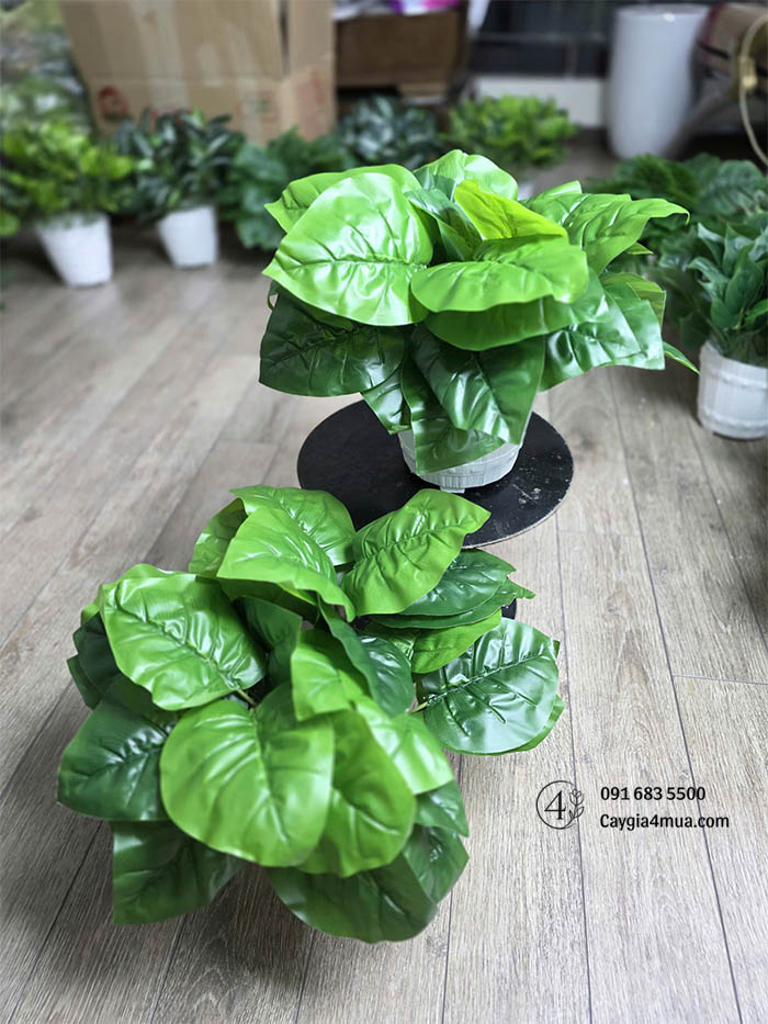 Chậu Cây Xanh Nhỏ Giả