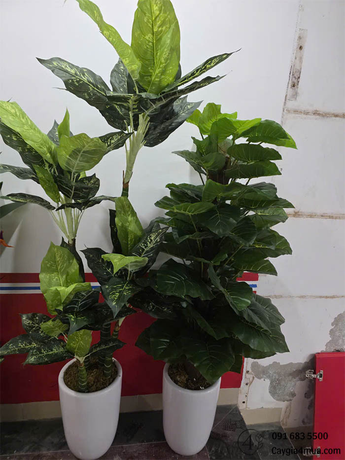 Cây Ngân Hà Nhân Tạo