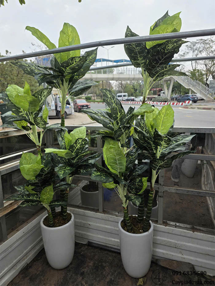 Cây Ngân Hà Nhân Tạo