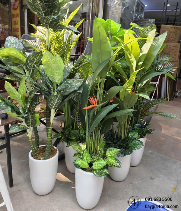 Cây Ngân Hà Nhân Tạo