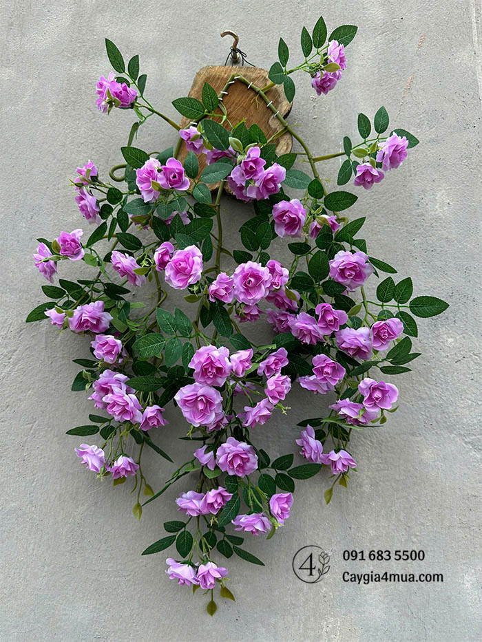 Tường Hoa Hồng Tím Rủ Giả