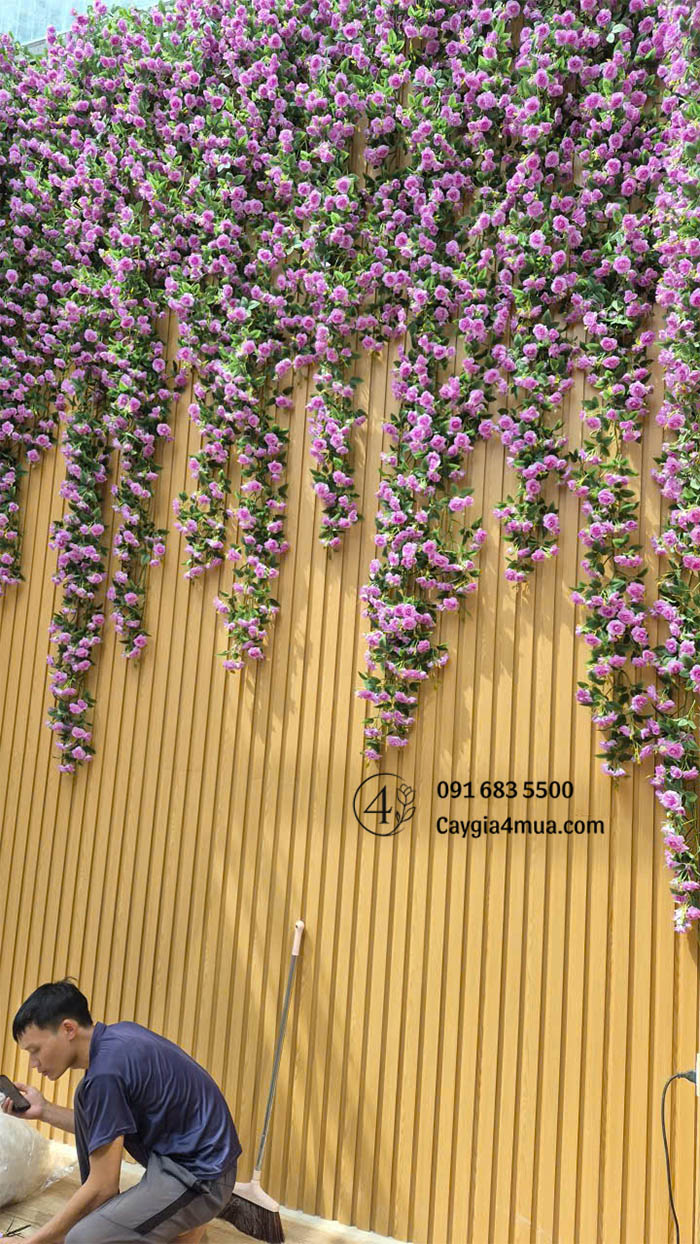 Tường Hoa Hồng Tím Rủ Giả