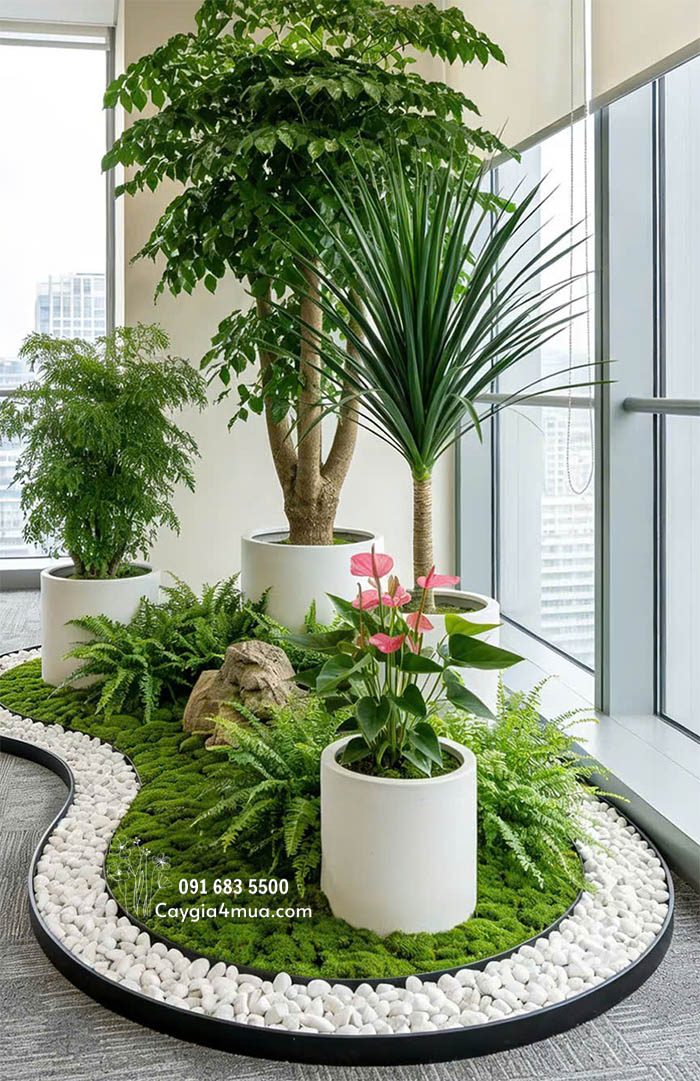 Tiểu Cảnh Cây Giả Văn Phòng