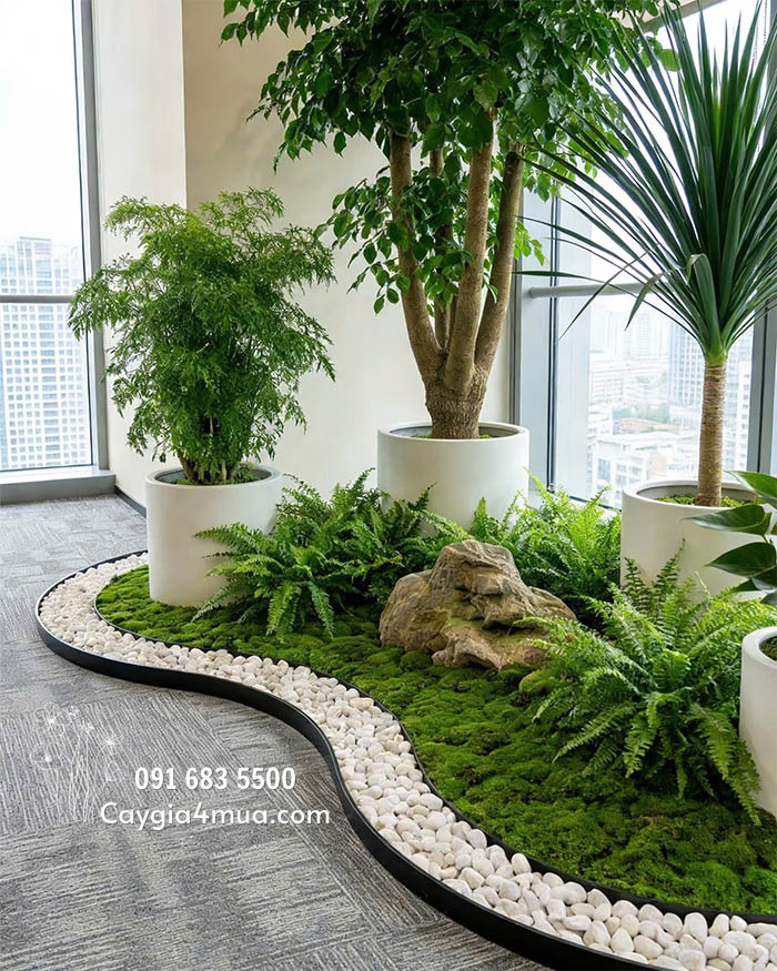 Tiểu Cảnh Cây Giả Văn Phòng