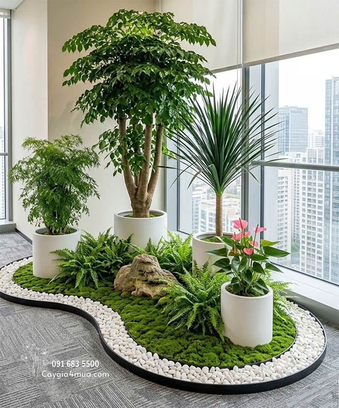 Tiểu Cảnh Cây Giả Văn Phòng