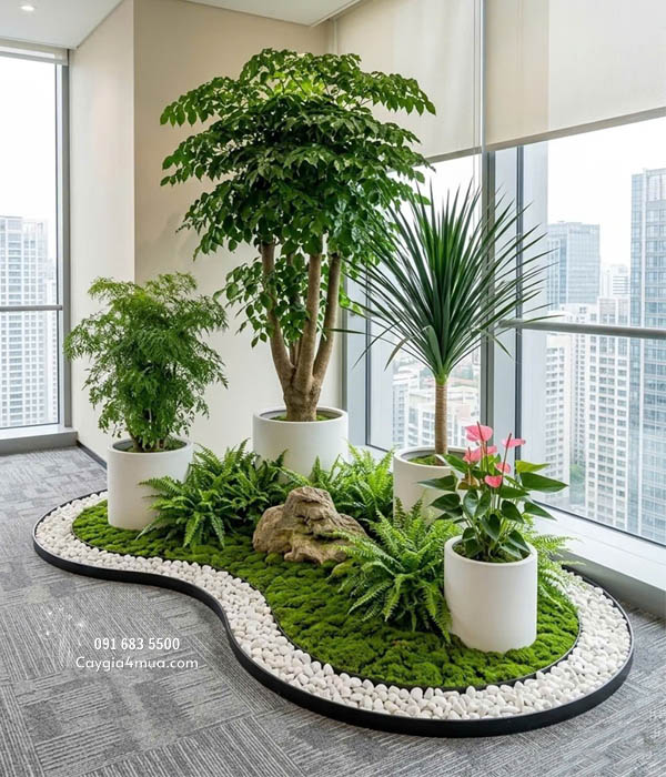 Tiểu Cảnh Cây Giả Văn Phòng