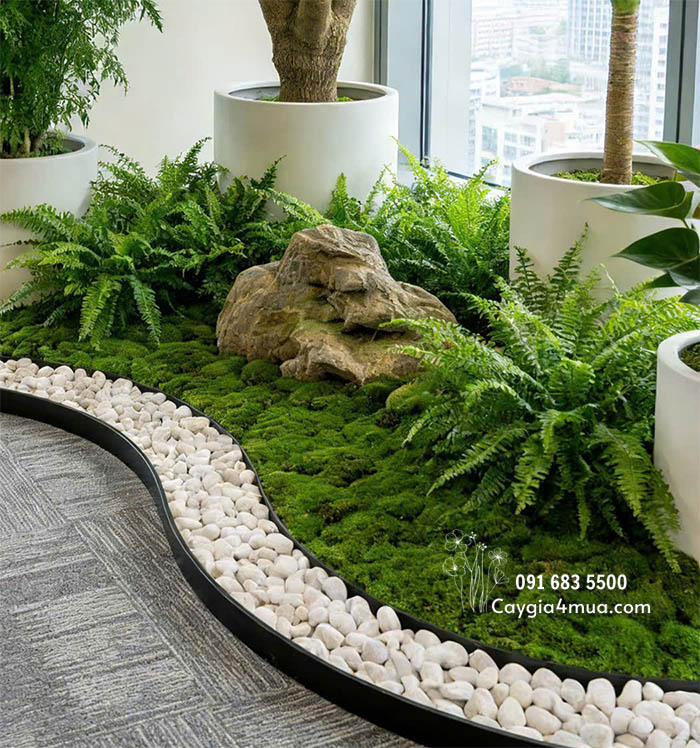 Tiểu Cảnh Cây Giả Văn Phòng