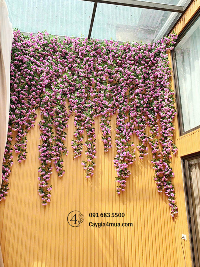 Tường Hoa Hồng Tím Rủ Giả