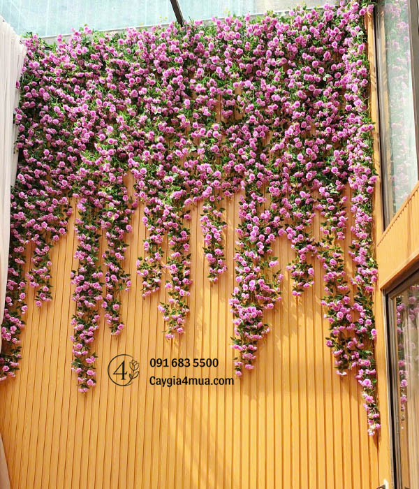 Tường Hoa Hồng Tím Rủ Giả