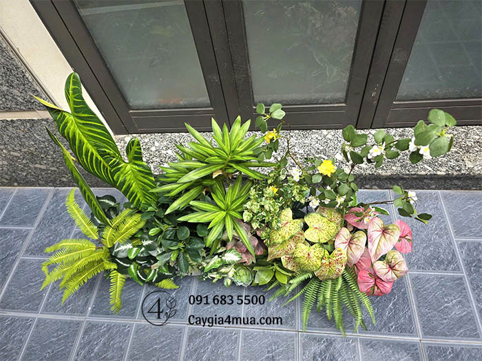 Bồn Cây Giả Mix Màu