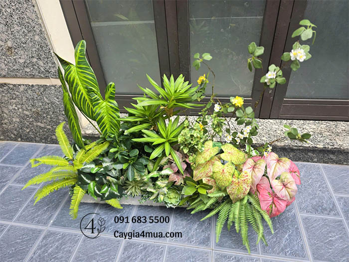 Bồn Cây Giả Mix Màu