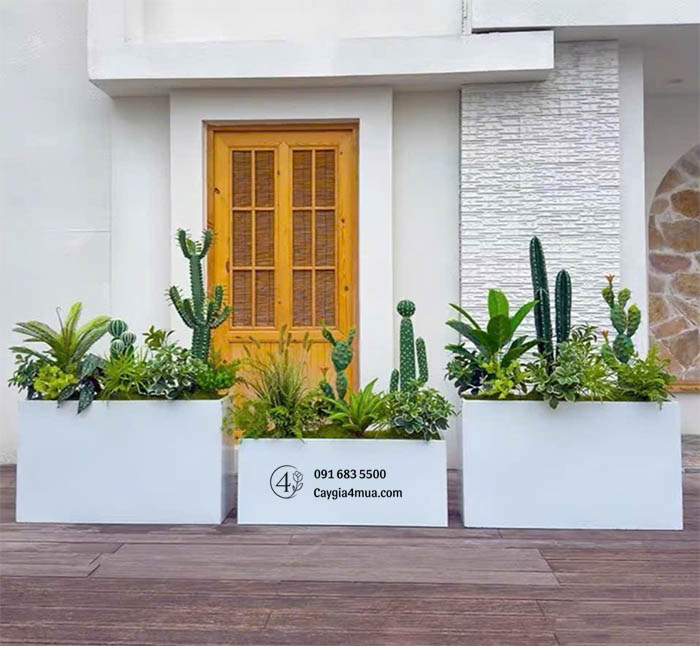 Bồn Cây Xương Rồng Sen Đá Giả