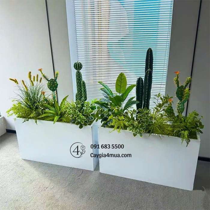 Bồn Cây Xương Rồng Sen Đá Giả