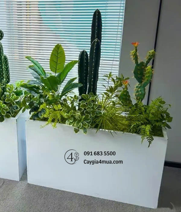Bồn Cây Xương Rồng Sen Đá Giả