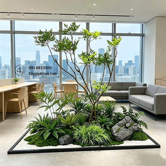 Decor Tiểu Cảnh Cây Nam Thiên Trúc Giả