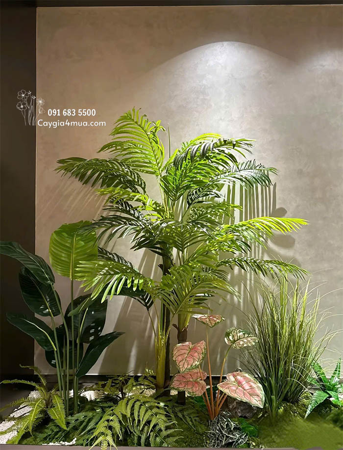 Tiểu Cảnh Cây Dừa Và Phát Tài Núi 