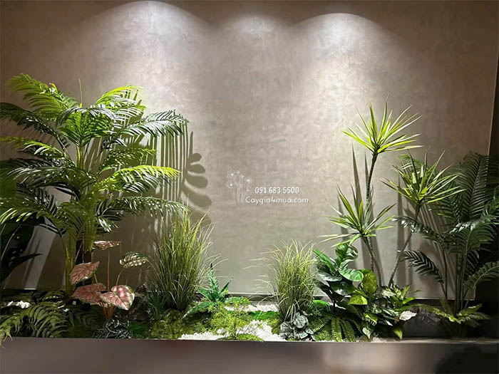 Tiểu Cảnh Cây Dừa Và Phát Tài Núi 