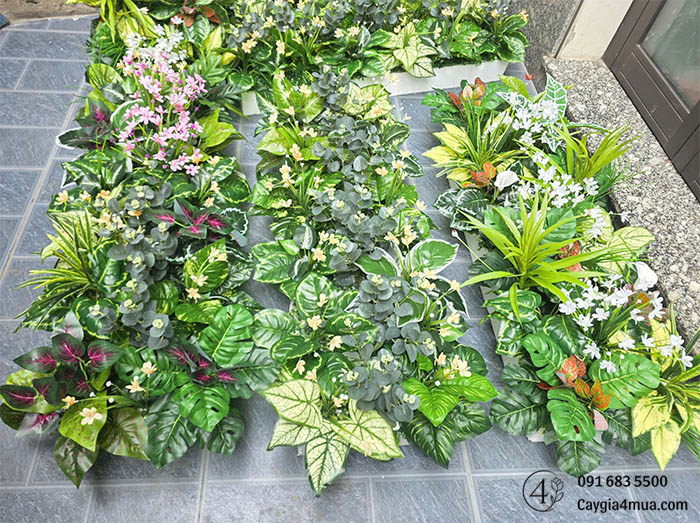 Bồn Cây Mix Sinh Động