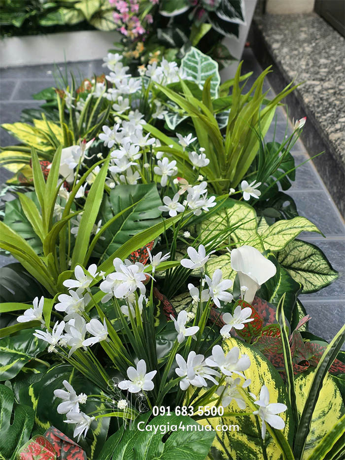 Bồn Cây Mix Sinh Động