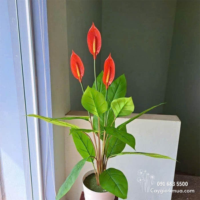 Cành Hoa Lan Ý Giả