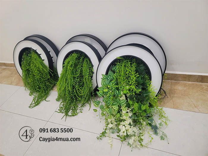 Đèn Trần Cây Rủ