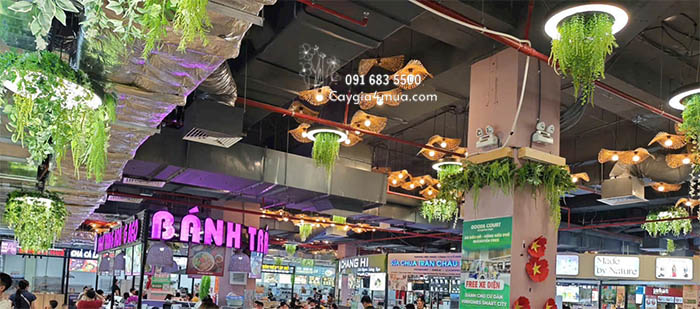 Đèn Trần Cây Rủ