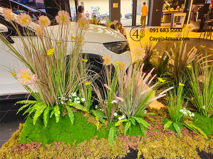Setup Showroom Cây Cỏ Lau Giả