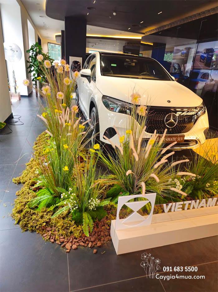 Setup Showroom Cây Cỏ Lau Giả