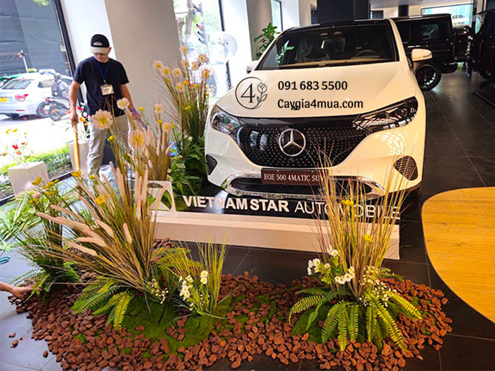 Setup Showroom Cây Cỏ Lau Giả