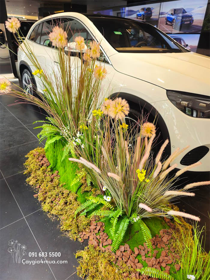 Setup Showroom Cây Cỏ Lau Giả