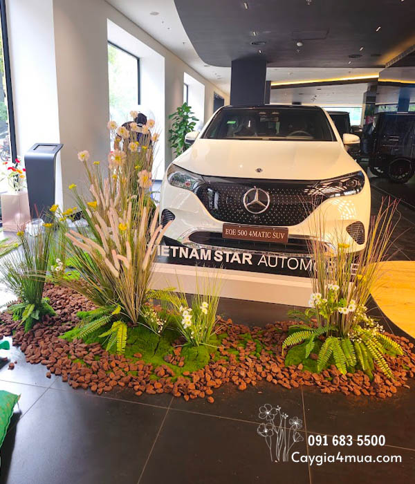 Setup Showroom Cây Cỏ Lau Giả